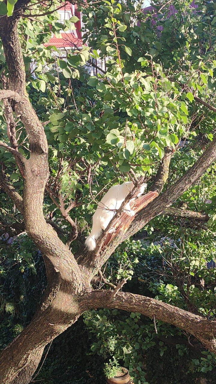 Гостиница Валекс Анапа-36