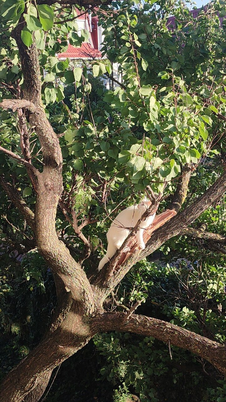 Гостиница Валекс Анапа-102