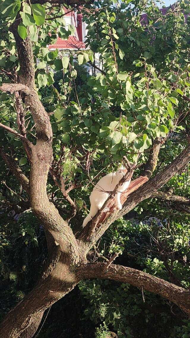 Гостиница Валекс Анапа-101